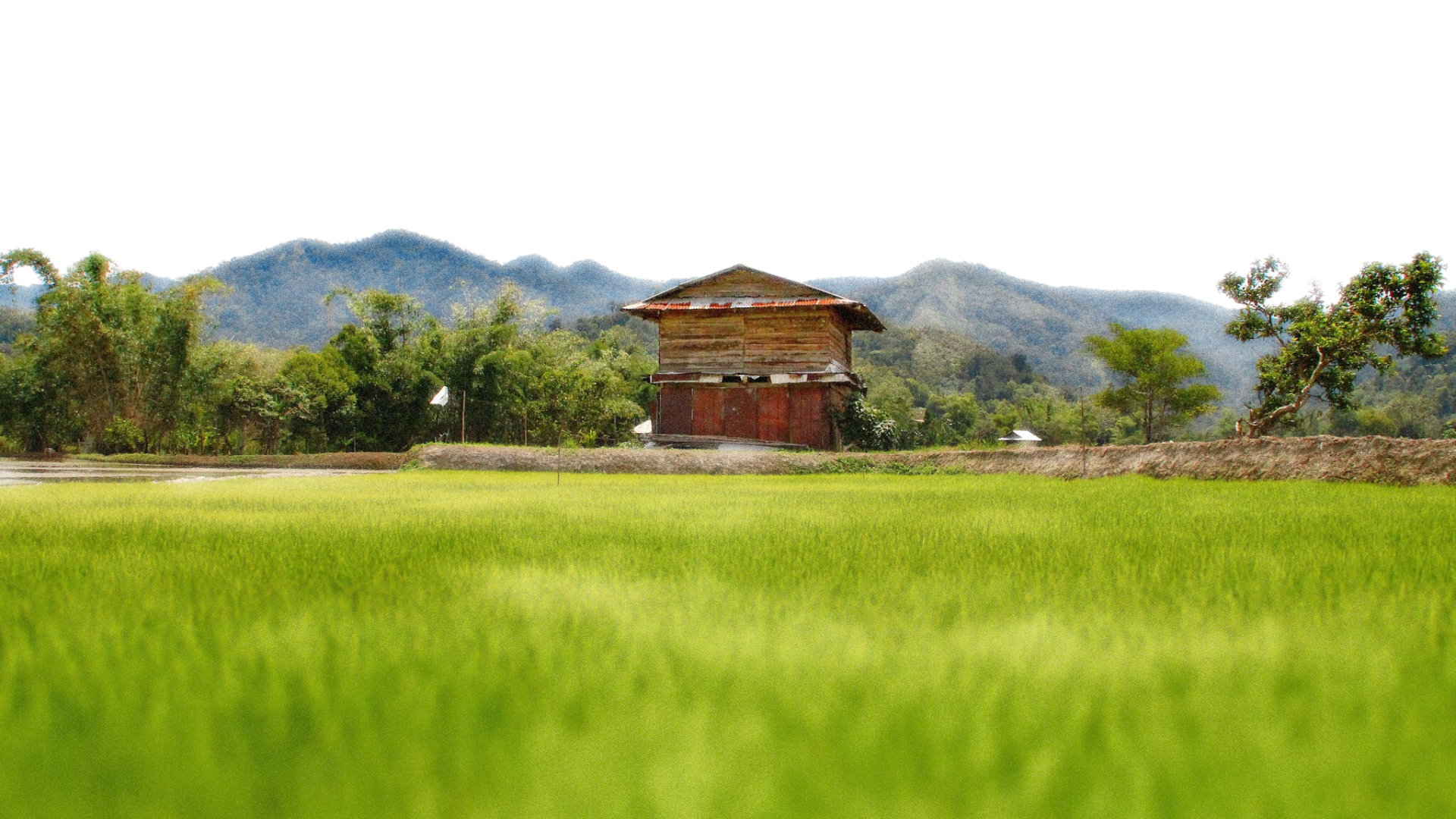 Untitled design (26)